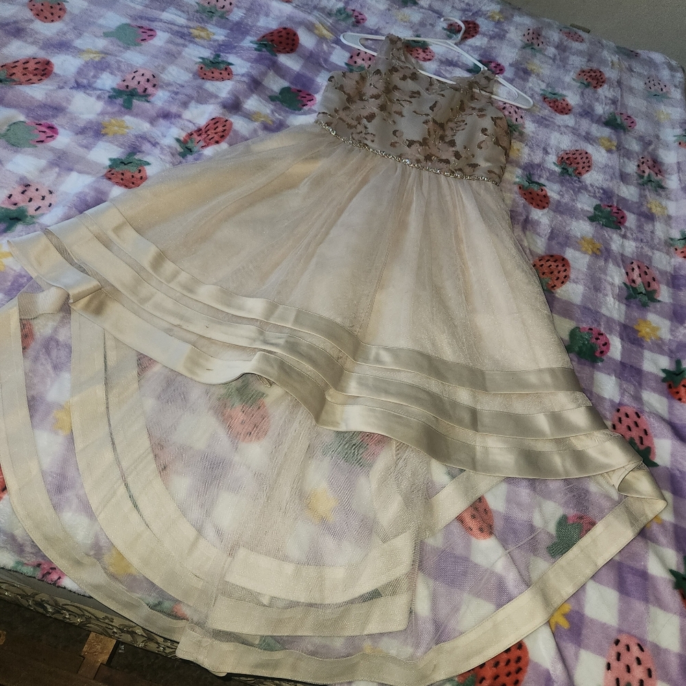 Rare editions Girls dress
